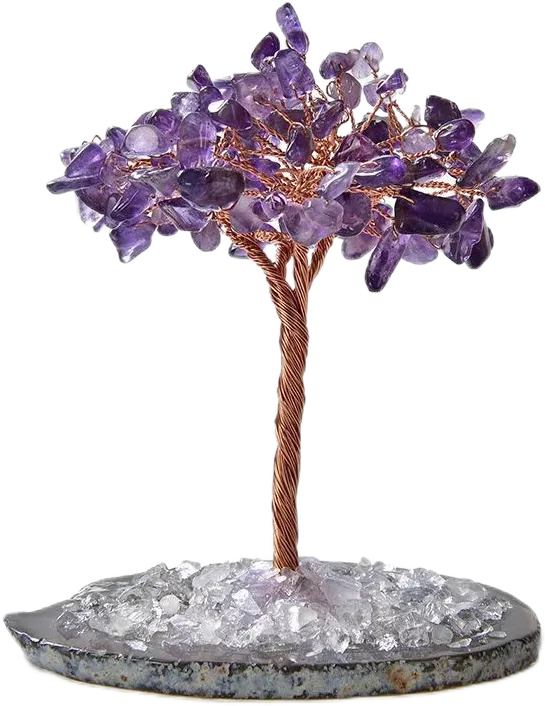 紫水晶樹功效