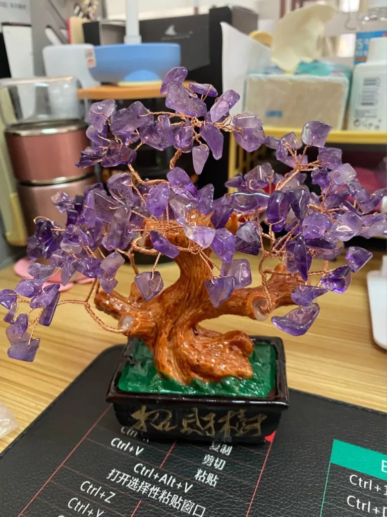 紫水晶樹 ‧ 指南