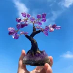紫水晶樹 ‧ 擺放位置3
