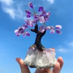 紫水晶樹 ‧ 擺放位置4
