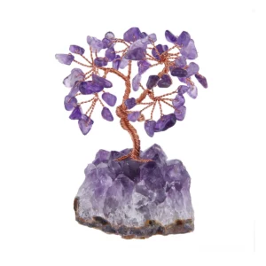 紫水晶樹，紫水晶樹功效2024010403