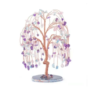 紫水晶樹，紫水晶樹功效2024010404