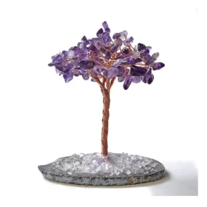 紫水晶樹，紫水晶樹功效2024010405