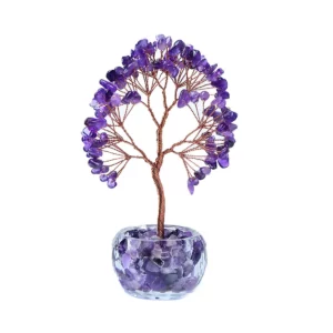 紫水晶樹，紫水晶樹功效2024010406