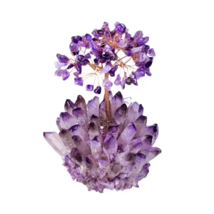 紫水晶樹，紫水晶樹功效2024010408